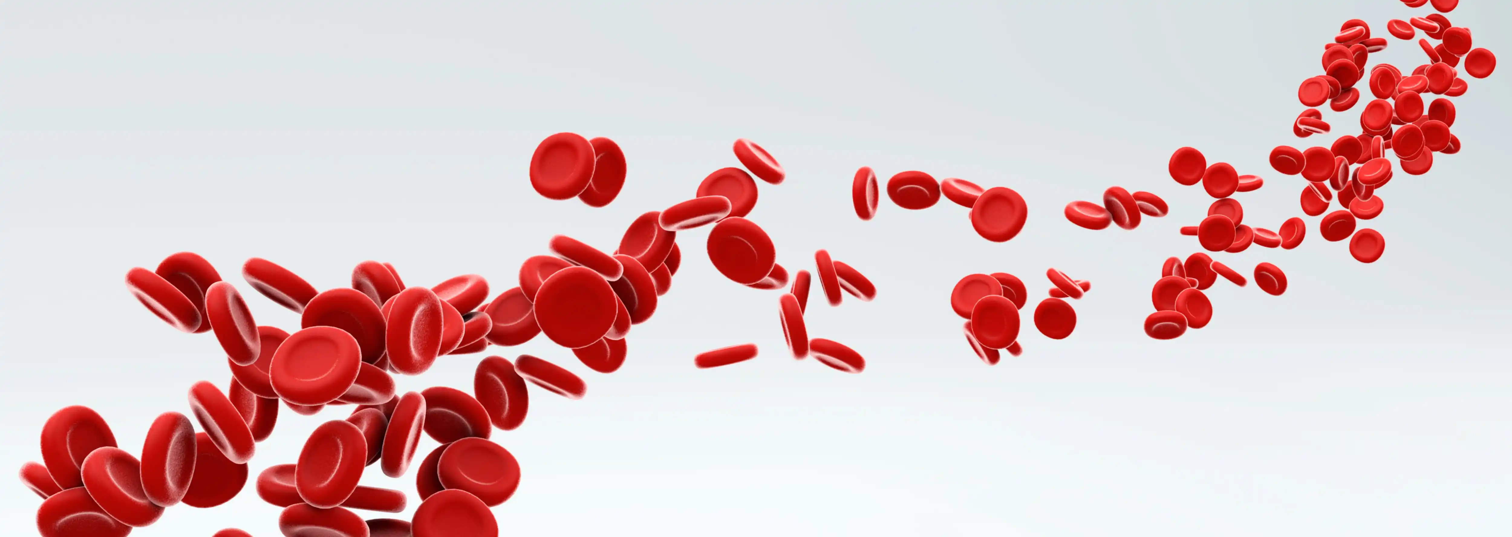 OneStopHaem platform preview